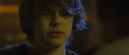 The Guest (2014) [MultiSubs] + Commentary