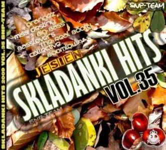 Skladanki Hits 2009 Vol.35 