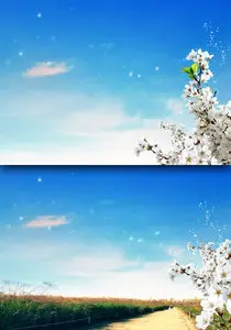 Sources - When spring blooms