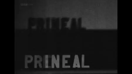 BBC - France 1939: One Last Summer (2019)