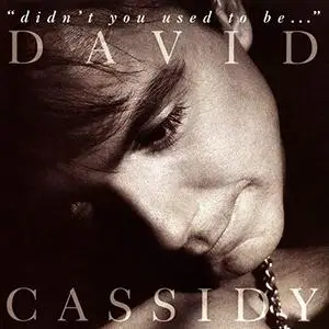 David Cassidy - Didn't You Used To Be... (1992/2018)