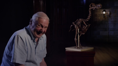 David Attenborough’s Natural History Museum Alive (2013)