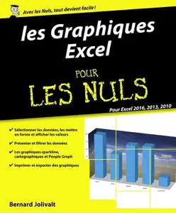 Bernard Jolivalt, "Graphiques Excel 2010, 2013 et 2016 pour les Nuls"