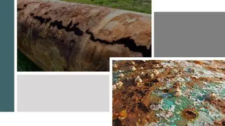 Corrosion Allowances & Corrosion Rate : 12 Modules