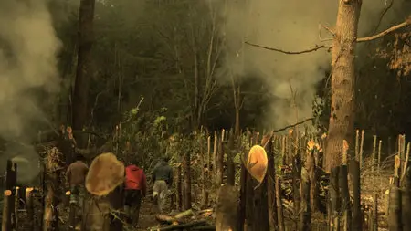 Las acacias (2011)