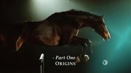 PBS Nature - Equus Story of the Horse Part 1: Origins (2019)