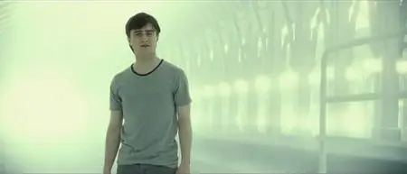 Harry Potter and the Deathly Hallows: Part 2 (2011)
