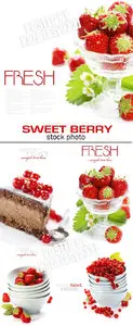 Sweet berry 3