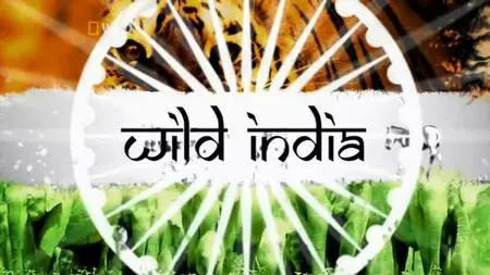 National Geographic - Wild India (2011)