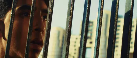 Slumdog Millionaire (2008)