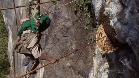 Facing the Giant Bees (2011)