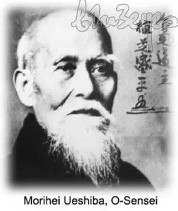 Aikido Training DVDs with Nishio Sense