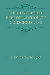 The Conceptual Representation of Consciousness