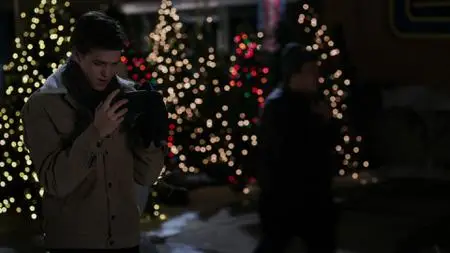 Sister Swap: A Hometown Holiday (2021)