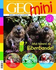 Geomini - Dezember 2017