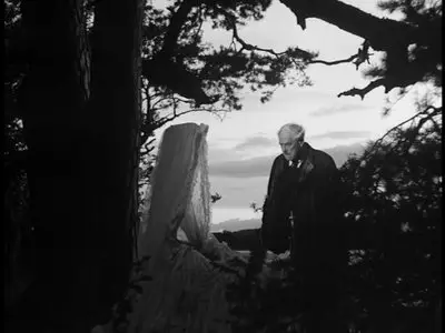 Wild Strawberries (1957) - (The Criterion Collection - #139) [DVD9] [2002] 