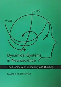 Dynamical Systems in Neuroscience: The Geometry of Excitability and Bursting