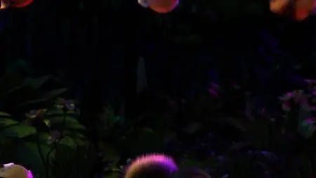 All Hail King Julien S06E08