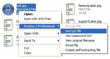 Kruptos 2 Professional 3.0.0.14 (x86/x64)