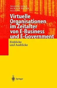 Virtuelle Organisationen im Zeitalter von E-Business und E-Government: Einblicke und Ausblicke