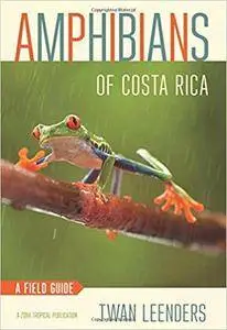 Amphibians of Costa Rica: A Field Guide