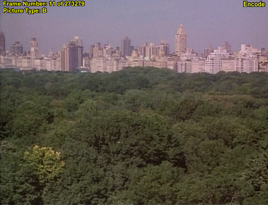 Central Park (1991)