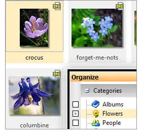 ACDSeePhotoManager 10