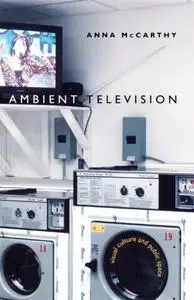 Ambient Television: Visual Culture and Public Space