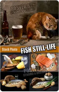 Fish still-life - UHQ Stock Photo