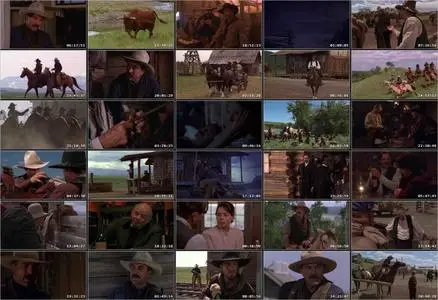 Monte Walsh (2003)