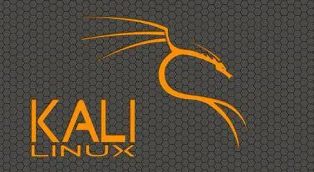 Ethical Hacking : How to Install Kali Linux