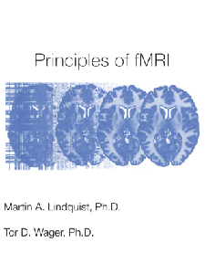 Principles of fMRI