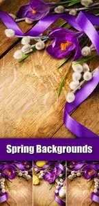 Stock Photo - Spring Flowers on Wooden Background 