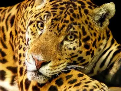 World In Photo 255