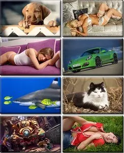 LIFEstyle News MiXture Images. Wallpapers Part (350)
