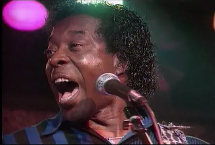 B.B. King: Blues Summit Concert (1993)