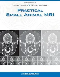 Practical Small Animal MRI (repost)