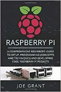 Raspberry Pi: A Comprehensive Beginner's Guide to Setup, Programming(Concepts and techniques)