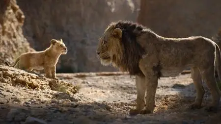 Der König der Löwen  / The Lion King (2019)