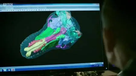 The Real T rex with Chris Packham