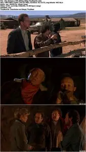 City Slickers (1991)