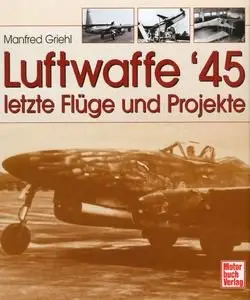 Luftwaffe 45: Letzte Fluge und Projekte (repost)