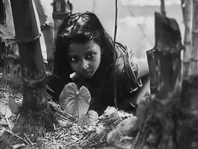 Satyajit Ray-Pather Panchali (1955)