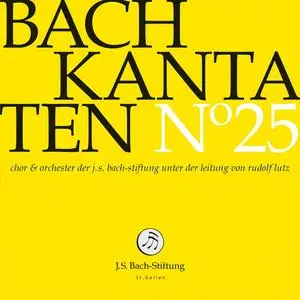 Rudolf Lutz, Chor und Orchester der J. S. Bach-Stiftung - Johann Sebastian Bach Kantaten N°25: BWV 29, 91, 175 (2018)