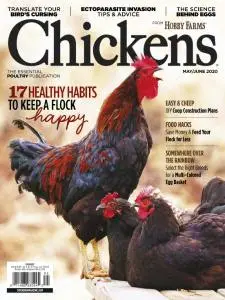 Chickens - May-June 2020