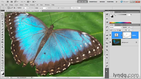 Photoshop CS5 One-on-One: Fundamentals with Deke McClelland [repost]