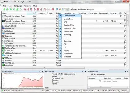 NetBalancer 3.1.1
