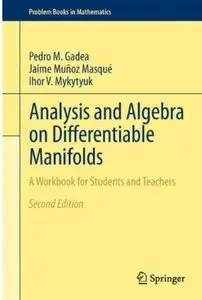 Analysis and Algebra on Differentiable Manifolds: A Workbook for Students and Teachers, 2nd edition (repost)