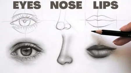 How to Draw realistic Eyes, Nose and Lips with simple easy to follow guidelines.