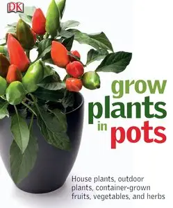 Grow Plants in Pots (Repost)
